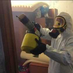 Уничтожение клопов в квартире. Тельмана